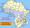 africa1.jpg (62295 bytes)