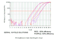 PCR_Amplification_vs_Cycle7.gif (34441 bytes)