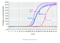 PCR_Amplification_vs_Cycle.gif (33319 bytes)