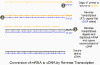 pp-pcr1.gif (12359 bytes)